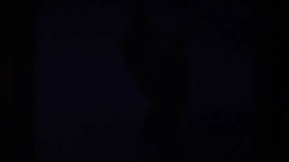 Dim 1967 London 8mm frame at the transition point, with a faint dark silhouette where the metadata describes a brief guard glimpse.