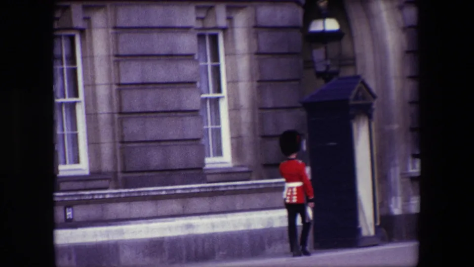 The guard appears beside or just in front of a sentry box, with the stone facade and sash windows framing the ceremonial London setting.