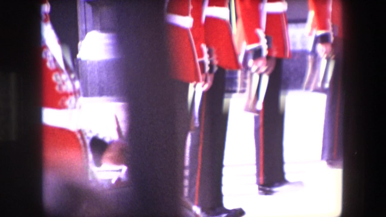 Ceremonial guards in red uniforms stand partly obscured by dark foreground shapes.