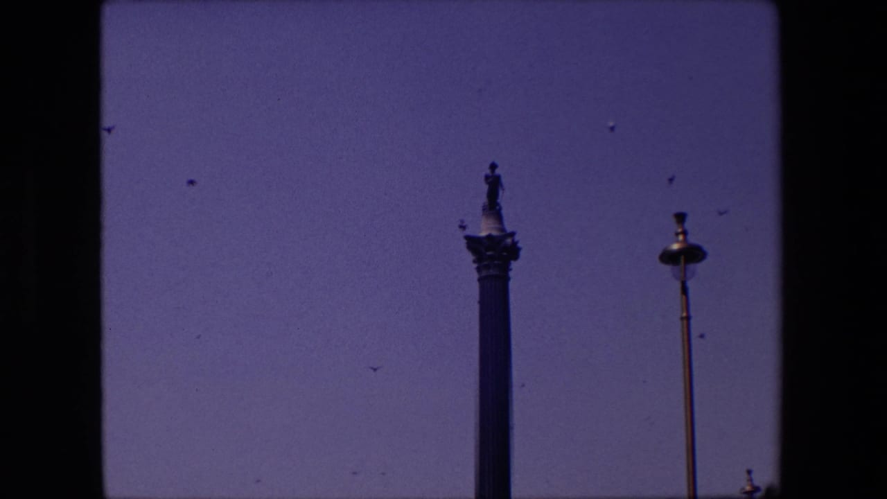 Tall column-top statue and streetlamp against sky with birds nearby.