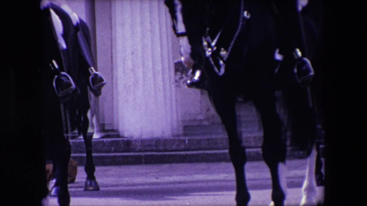 Horse legs and riding tack in front of columns.