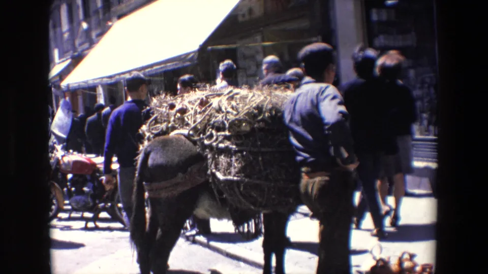 1967 Madrid street-market view with pedestrians, shop awnings, and a horse or donkey carrying a bulky load through the street.