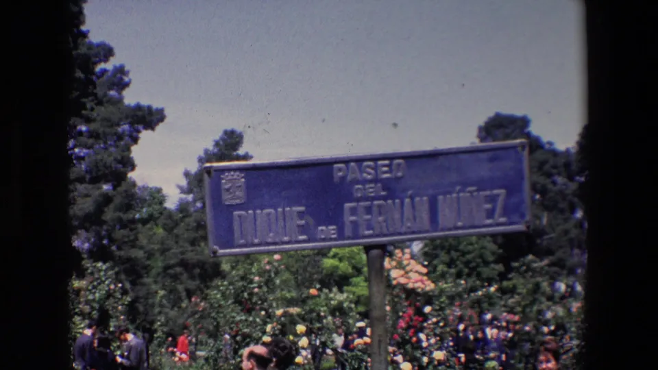 1967 Madrid home-movie view of the Paseo del Duque de Fernan Nunez sign, leafy trees, and a crowd gathered below.