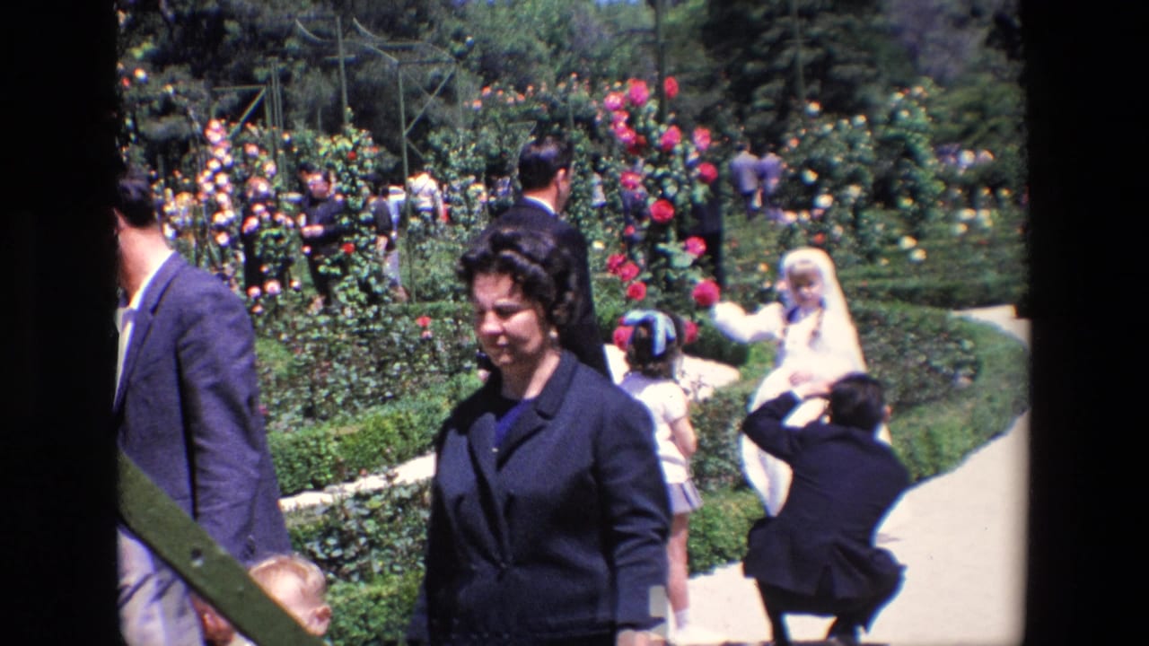 Wedding guests in a flower garden as a bride poses near a crouching photographer.