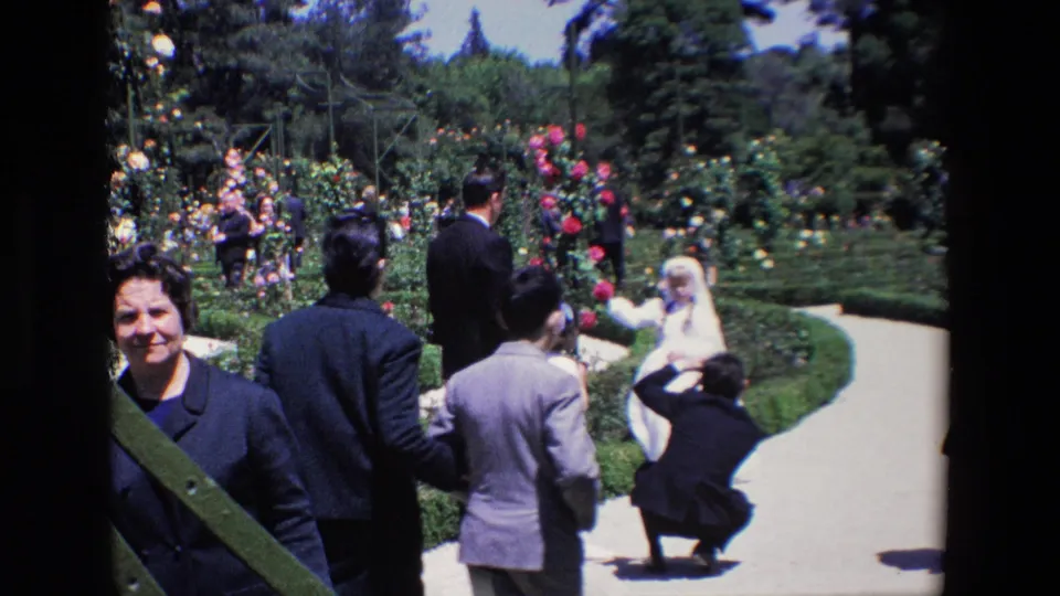 1967 Madrid home-movie frame showing wedding guests moving along a landscaped garden path as a bride and photographer remain near the flower beds.