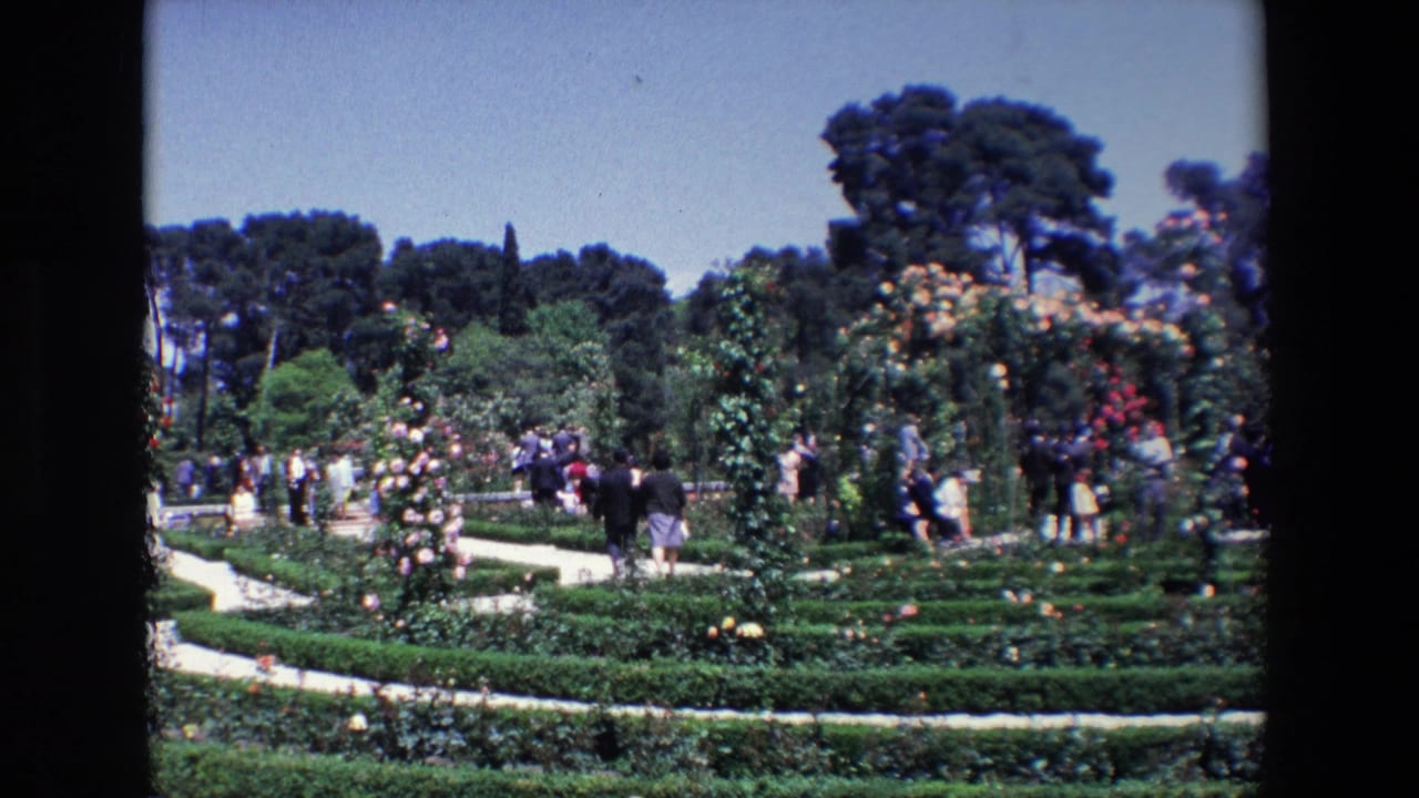 1967 Madrid home-movie frame with several visitor groups among rose beds, low hedges, garden paths, flowering arches, and mature trees under a clear sky.