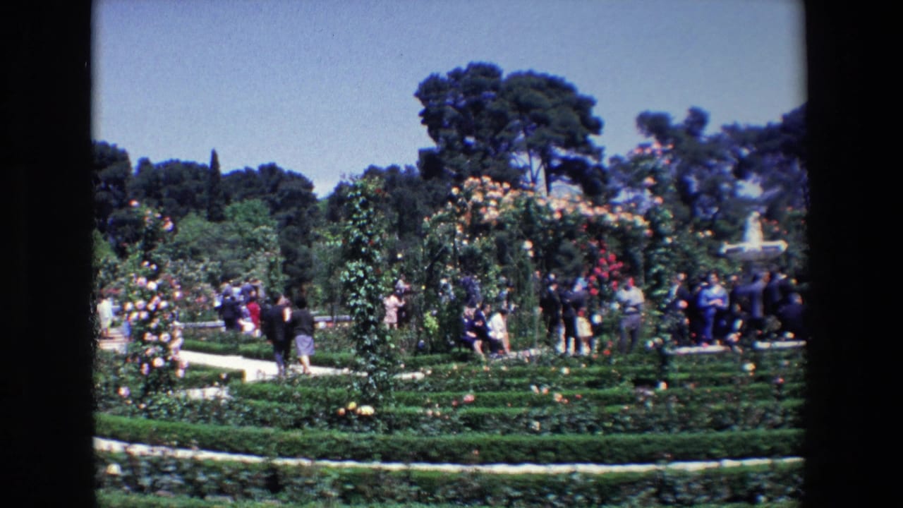 A garden scene with visitors near flowering arches, hedges, paths, trees, and shrubs.