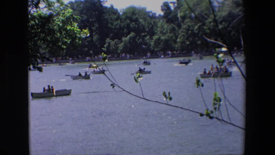 Madrid park lake scene with several small rowboats on rippled water, dense trees on the far bank, and leafy branches cutting across the foreground.