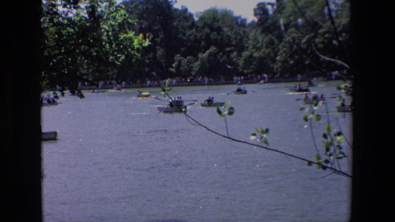 Small boats on a lake framed by dark tree trunks and branches.