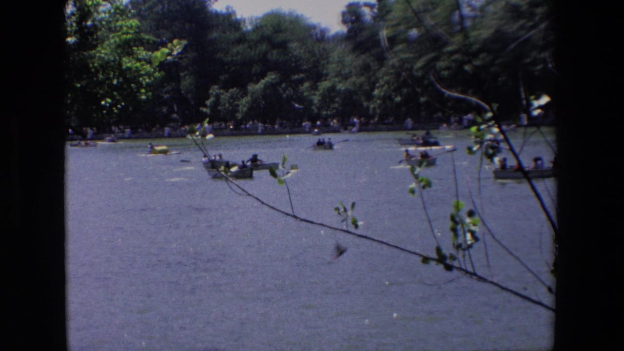 Boats with people on a lake near a wooded shoreline.