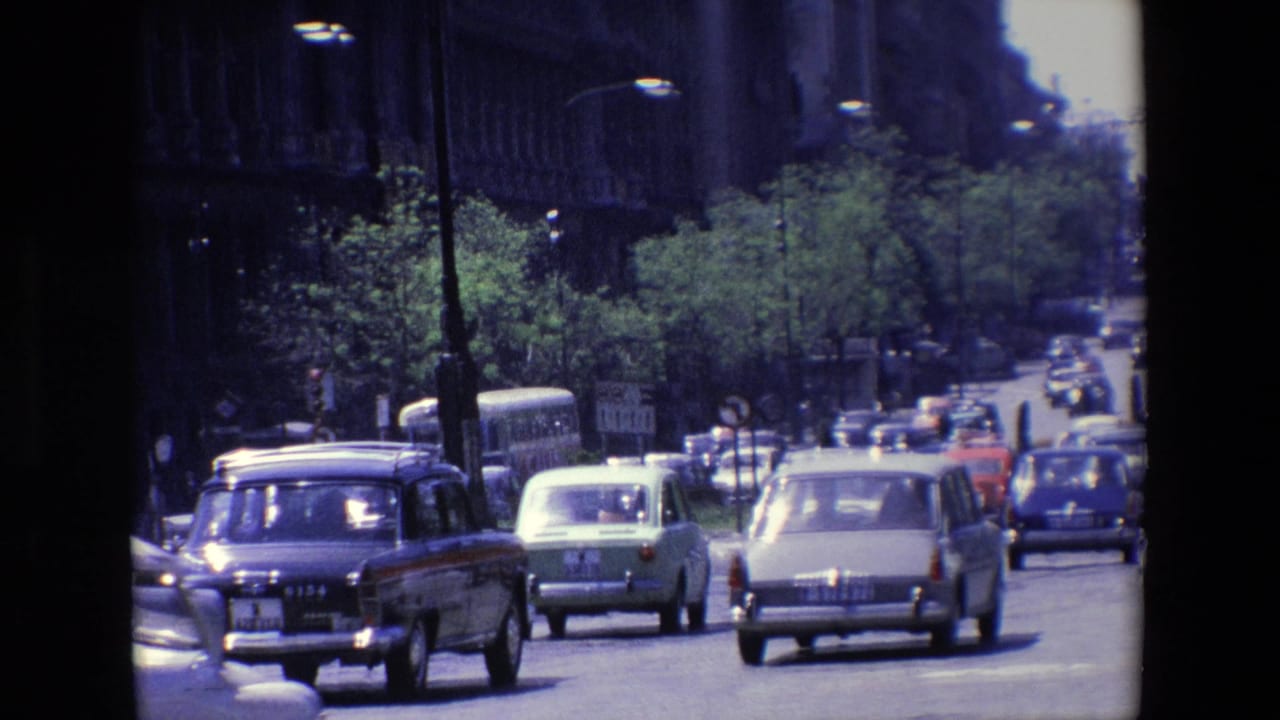 Cars drive along a busy daylight city street with trees and streetlamps in the background.
