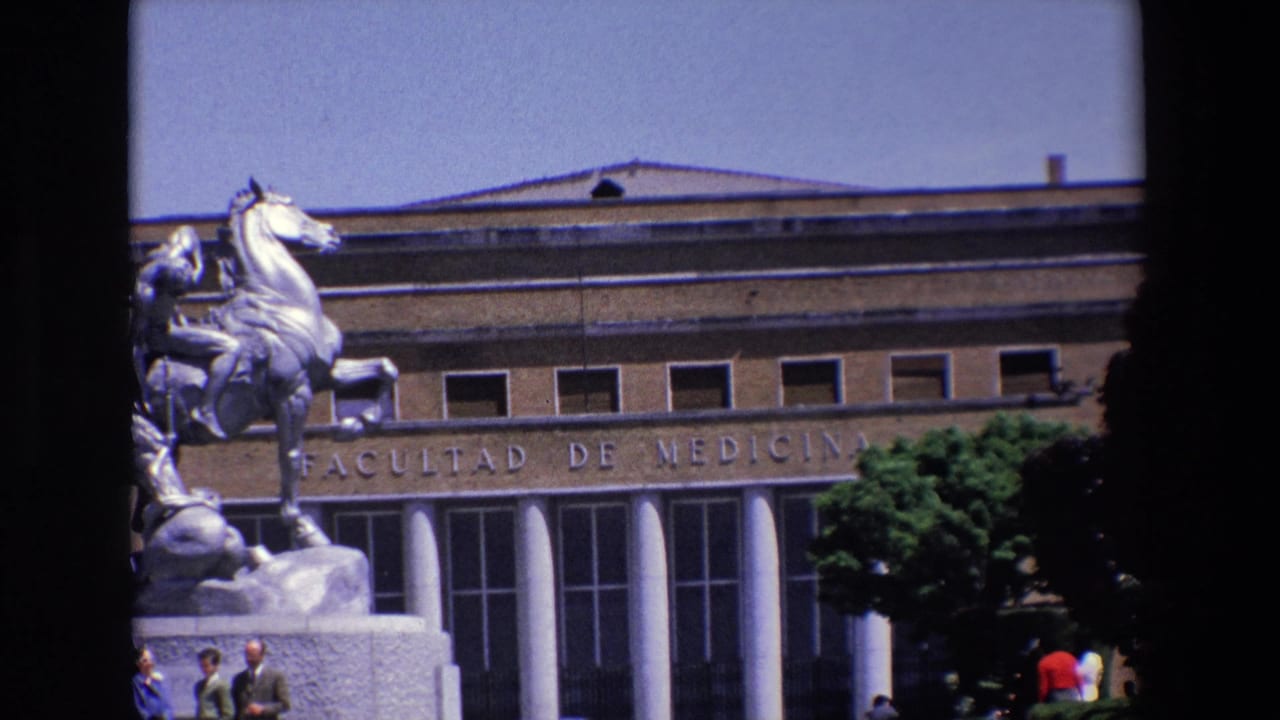 Closer view of the equestrian statue and Faculty of Medicine entrance.