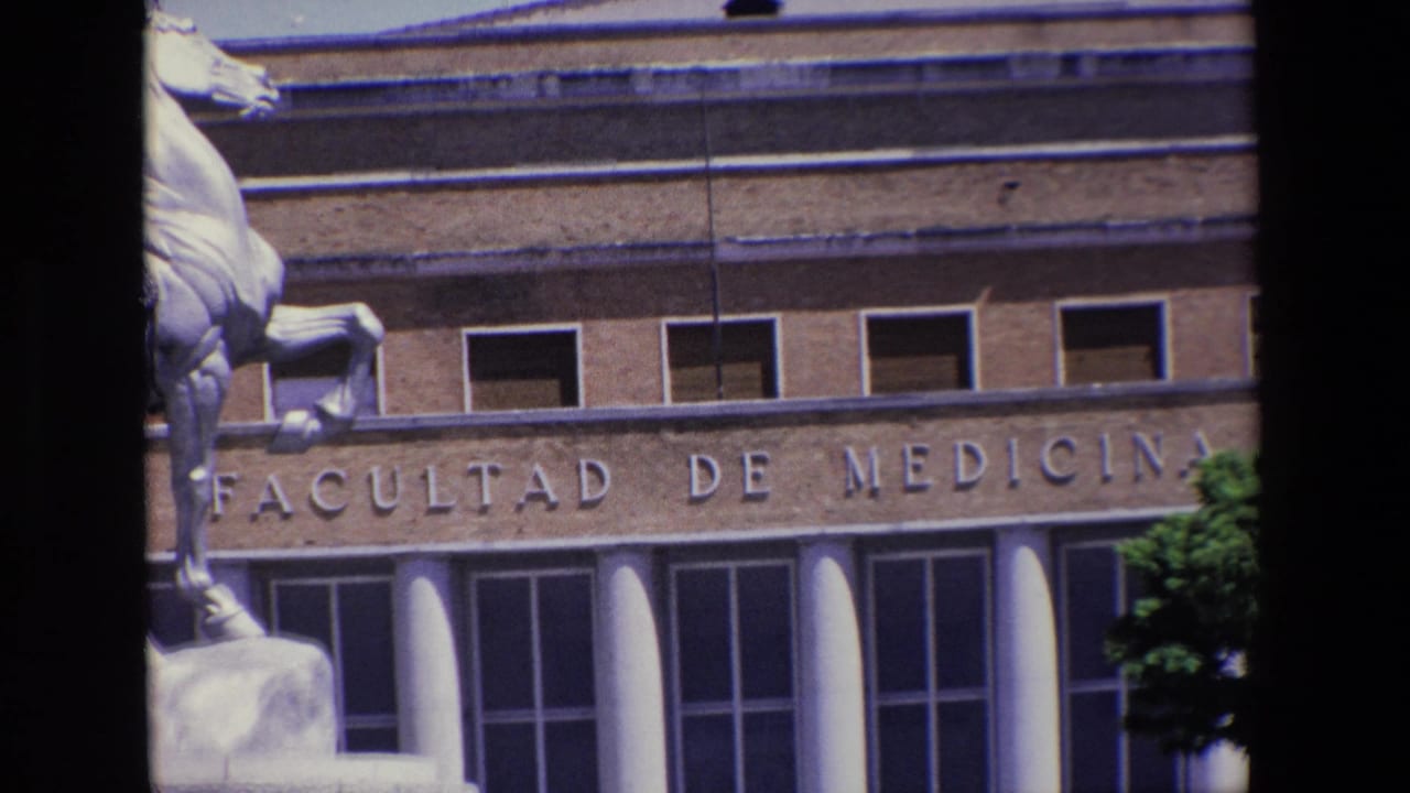Building facade with Medicina lettering, columns, windows, and partial horse statue.