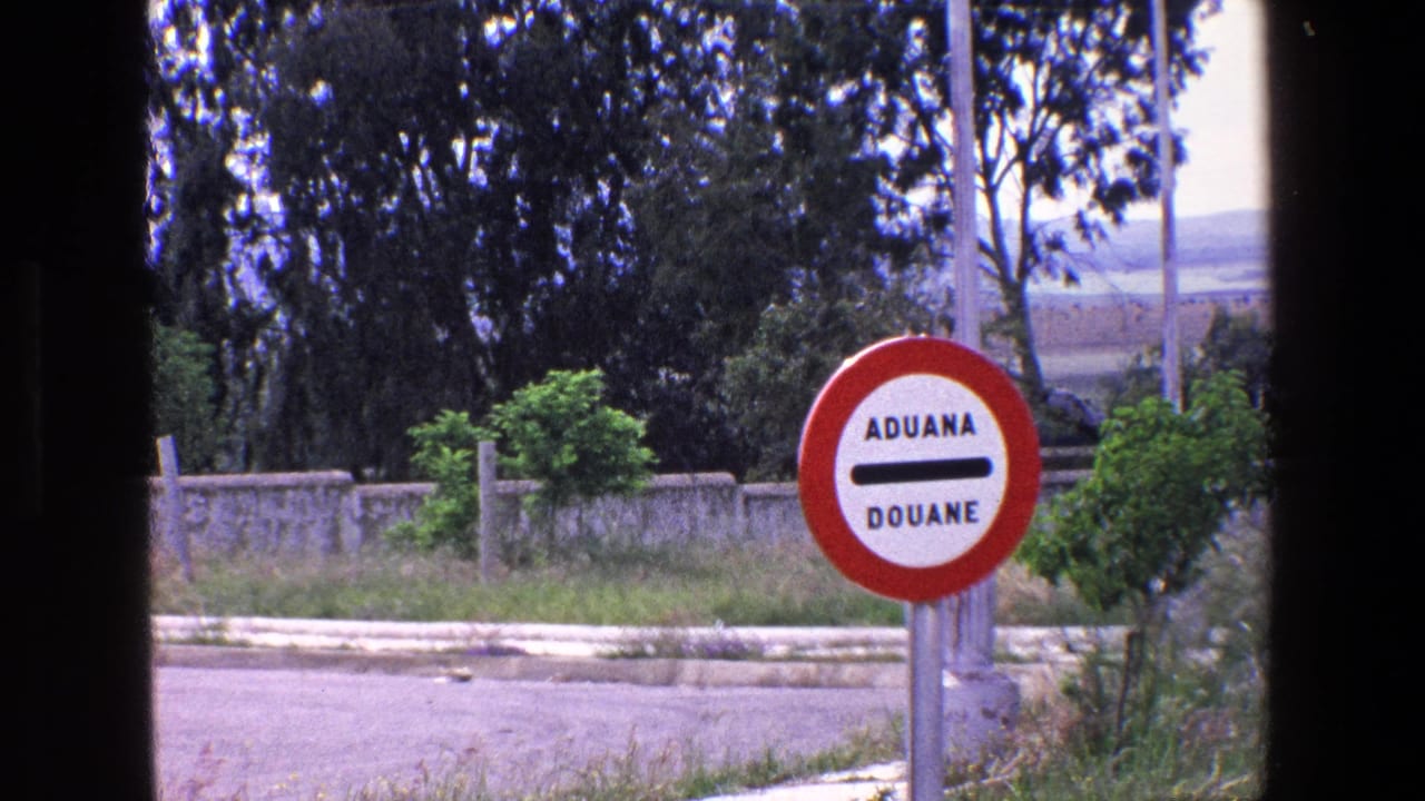 Circular ADUANA DOUANE customs sign near a roadside curb and trees.