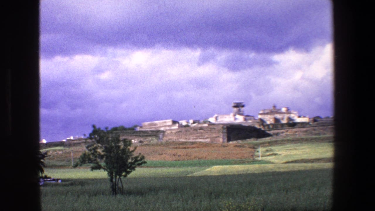 Distant walled buildings and tower beyond fields, with a tree in the foreground and dark window framing.