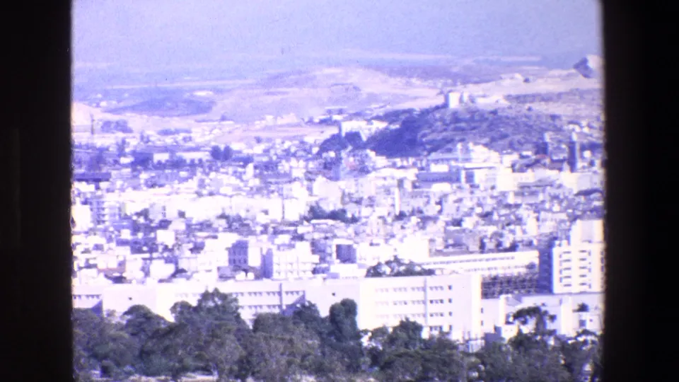 Elevated 1967 Palermo view with a bright cityscape, foreground trees, low buildings, and pale hills in the distance, framed by the dark edge of the film gate.