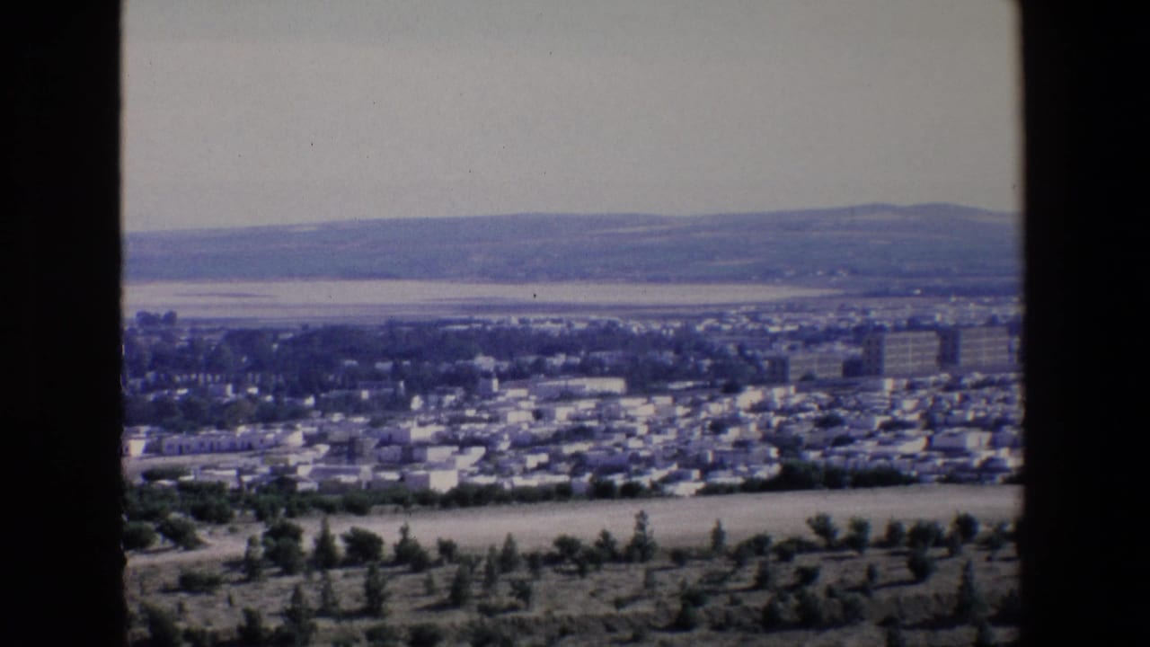 Wide view across trees, city outskirts, water, and distant hills.