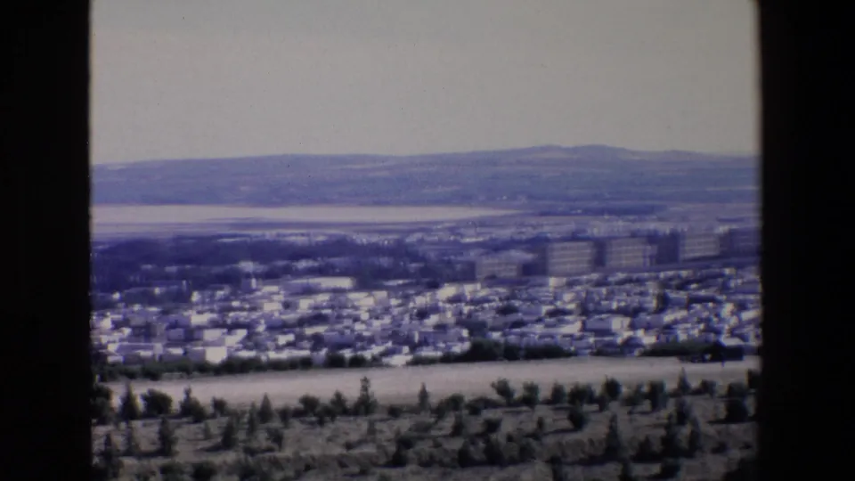 Final 1967 Palermo home-movie frame looking across foreground trees toward buildings, coastal water, and layered hills under a pale sky.