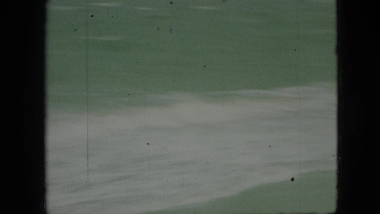 Greenish water surface with white foam streaks and dark film borders.