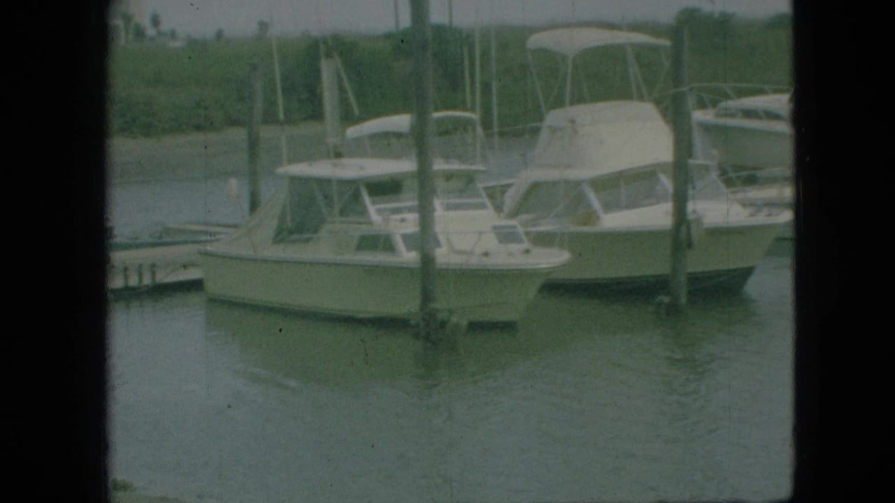 White cabin boats moored at a marina beside wooden pilings.