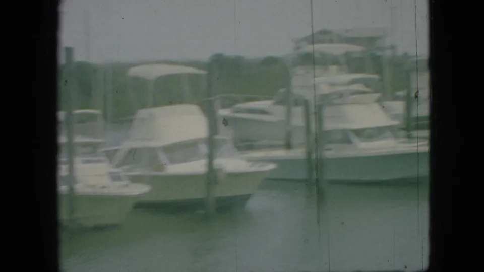 Soft 8mm frame from the Branson marina showing docked white boats, vertical pilings, and a grassy shoreline in the background.