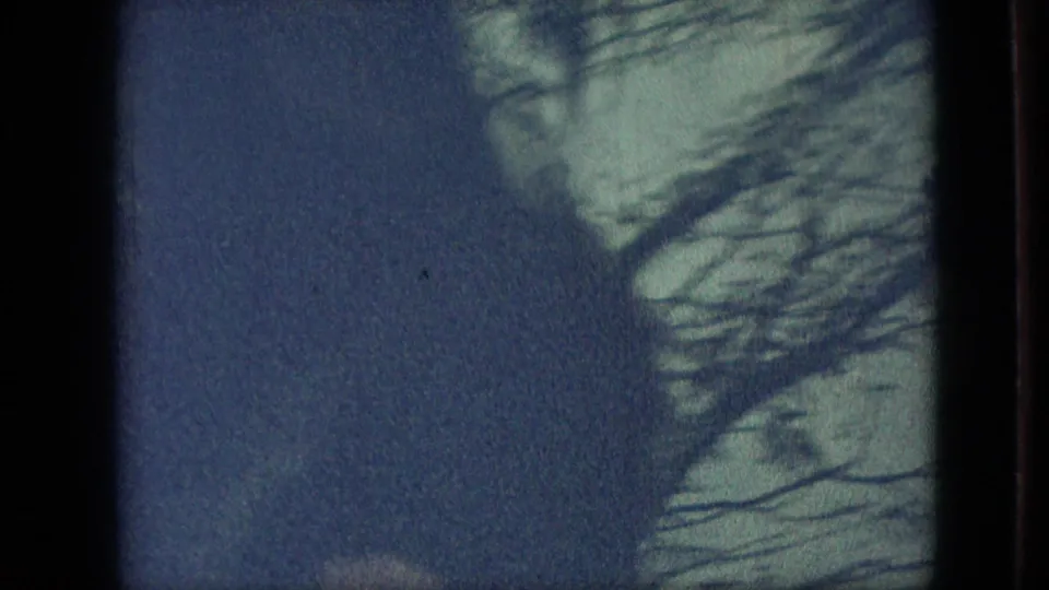 A cutaway frame shows bare tree branches against a grey-blue sky, suggesting overcast weather during the Branson home-movie parade sequence.