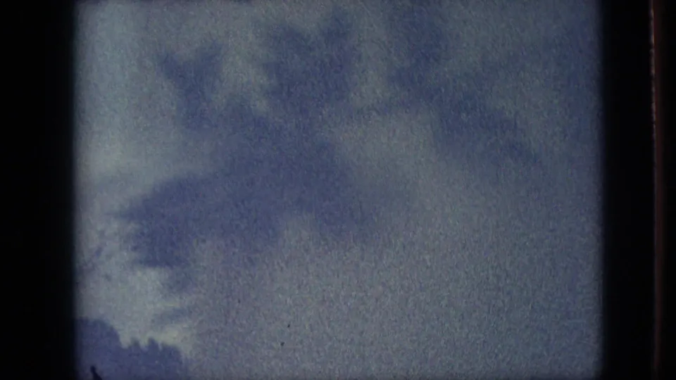 The final frame is a soft overcast sky cutaway with a dark treetop or horizon edge, matching the grey-weather atmosphere of the parade clip.