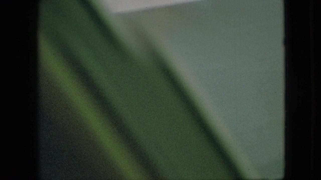 Blurred green foreground crossing a pale background during fast camera movement.