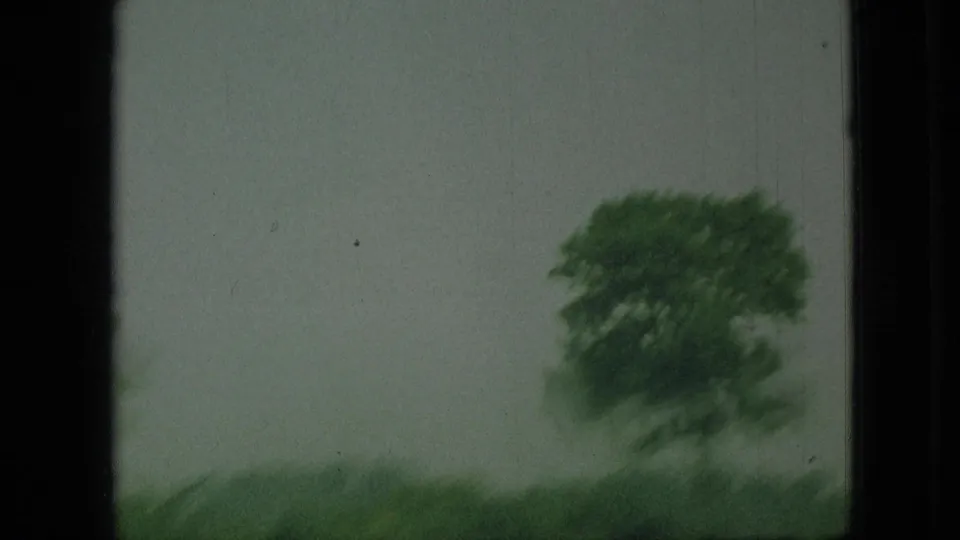 1968 Branson, Missouri home-movie frame showing a leafy tree and green shoreline or roadside verge passing in motion blur near the water.