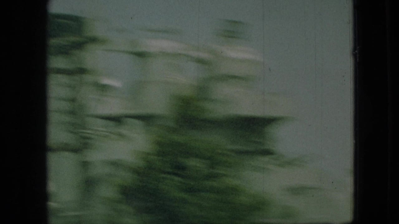 Motion-blurred 8mm frame showing greenery and sky during the handheld move toward the docked naval vessel in the Missouri-labeled footage.