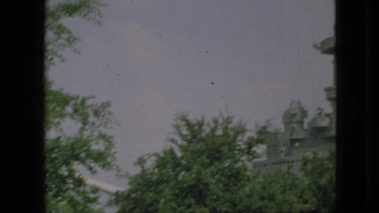 Obstructed view of a gray naval structure behind trees and dark frame edges.