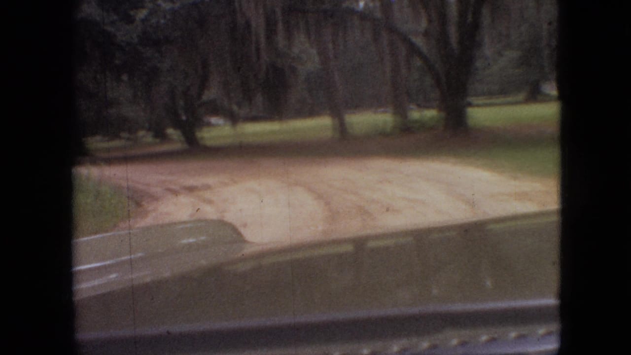 Curving dirt road through trees viewed over a car hood.