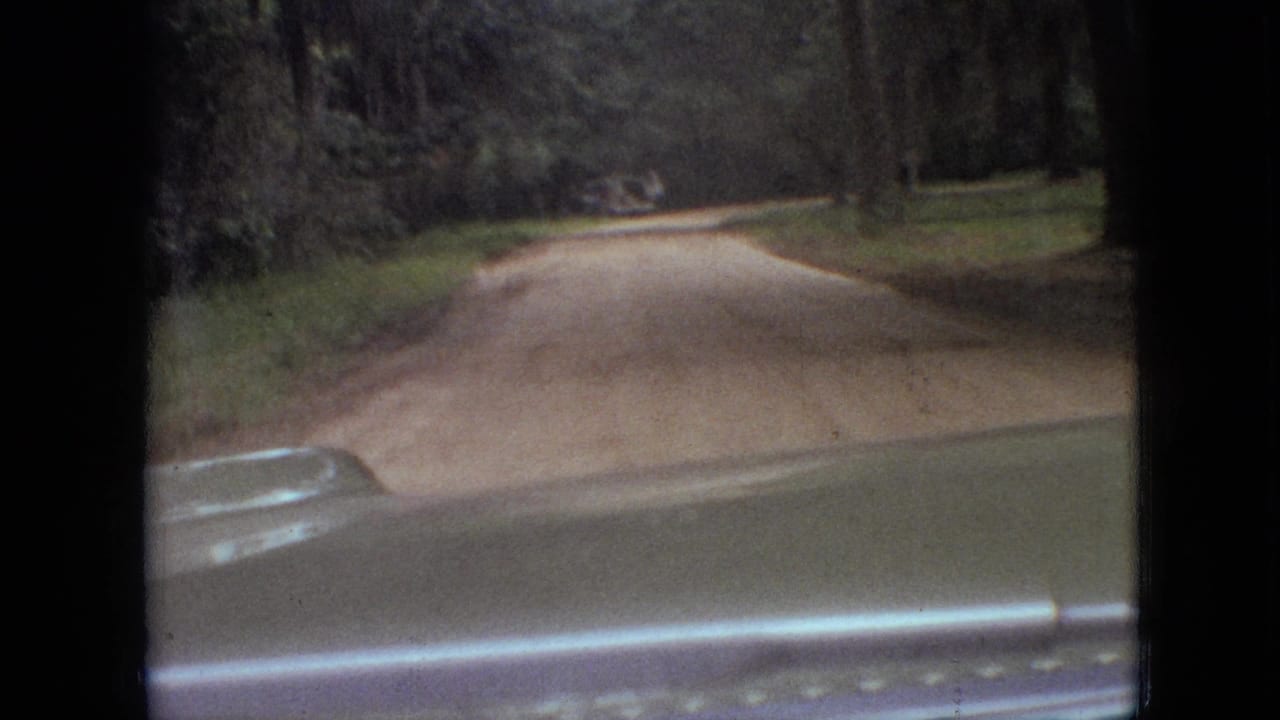 1968 Branson, Missouri 8mm home-movie frame from inside a moving vehicle approaching a pale dirt road lined by trees.