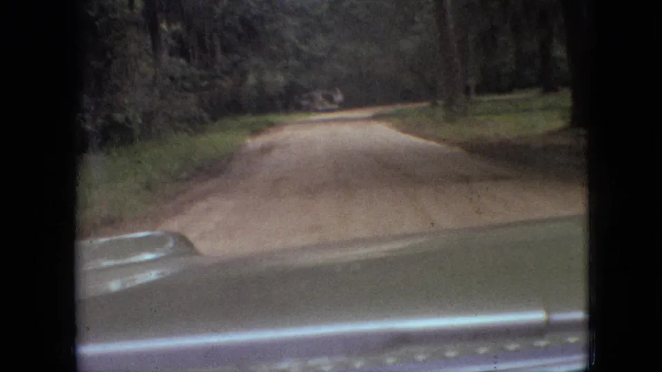 1968 Branson, Missouri 8mm home-movie frame from inside a moving vehicle approaching a pale dirt road lined by trees.