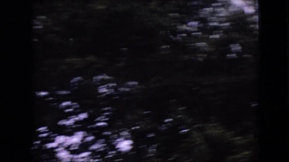 A shaky, blurred view of dense green trees follows the aircraft shots, consistent with handheld or moving-vehicle 8mm footage.