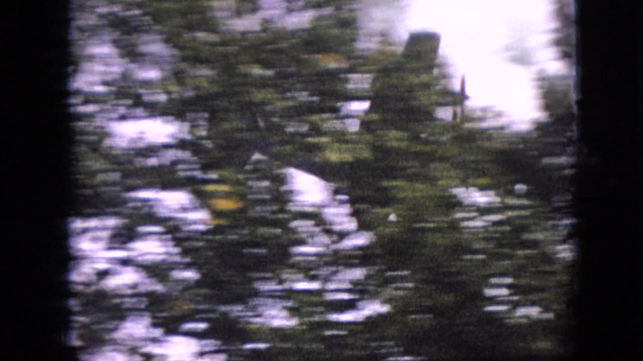 In 1968 Branson, Missouri 8mm footage, a small propeller airplane appears behind dense tree foliage with heavy motion blur and dark film borders.