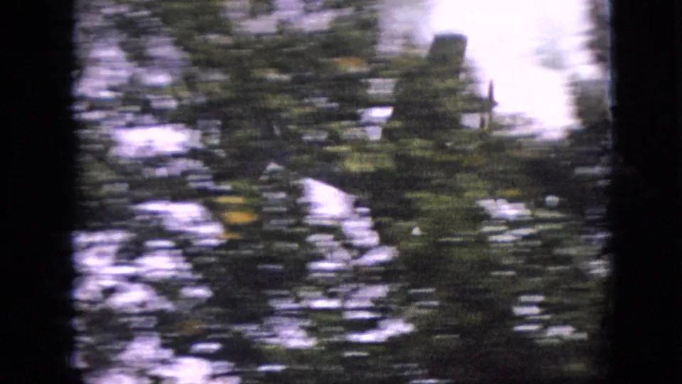 In 1968 Branson, Missouri 8mm footage, a small propeller airplane appears behind dense tree foliage with heavy motion blur and dark film borders.