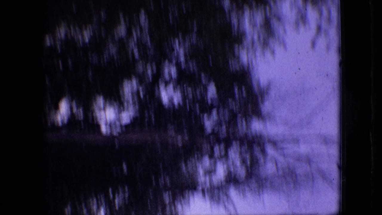 Dark tree canopy and a faint building edge against a purple-blue sky.