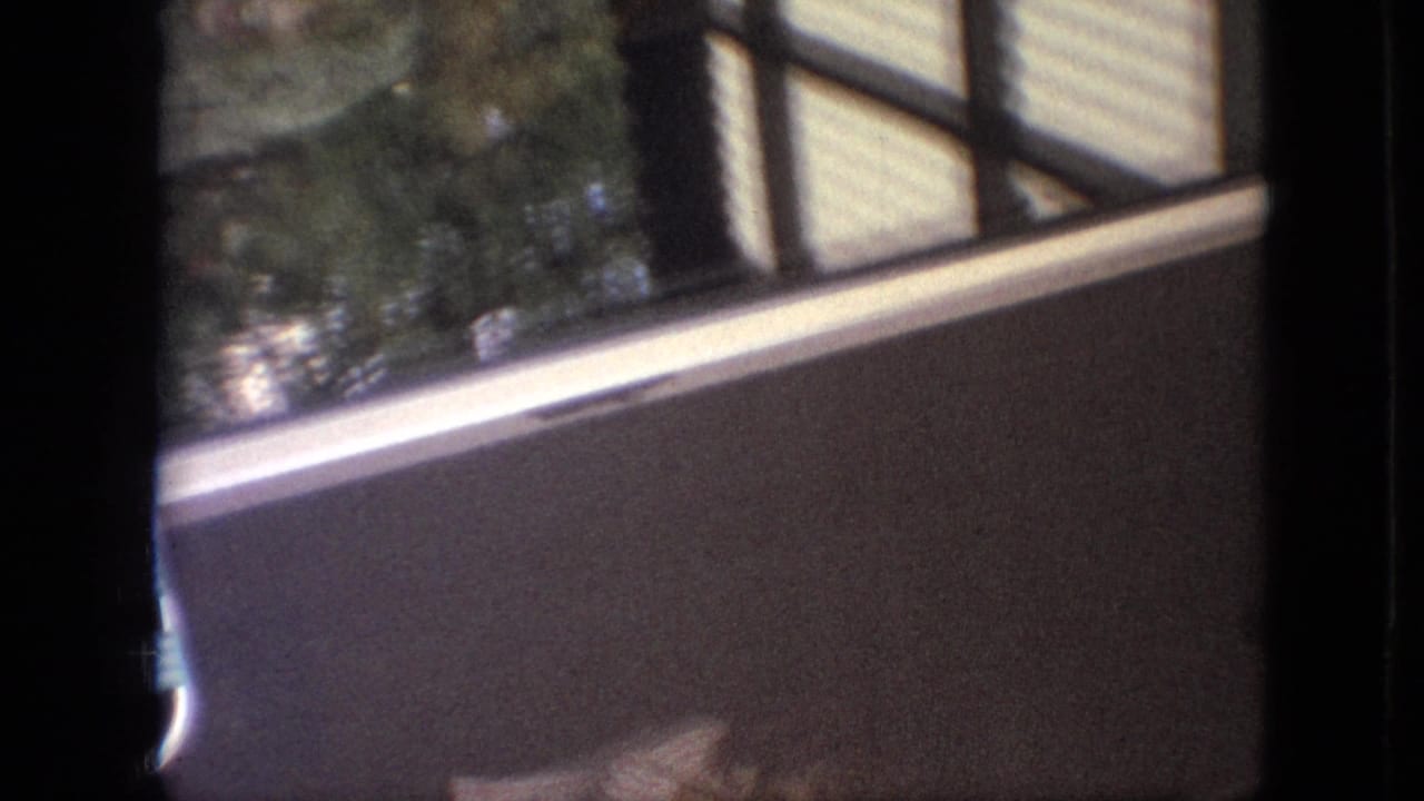 Soft 8mm view from Branson, Missouri in 1968 showing a dark window divider, foliage reflections, and a pale horizontal ledge or wall area.