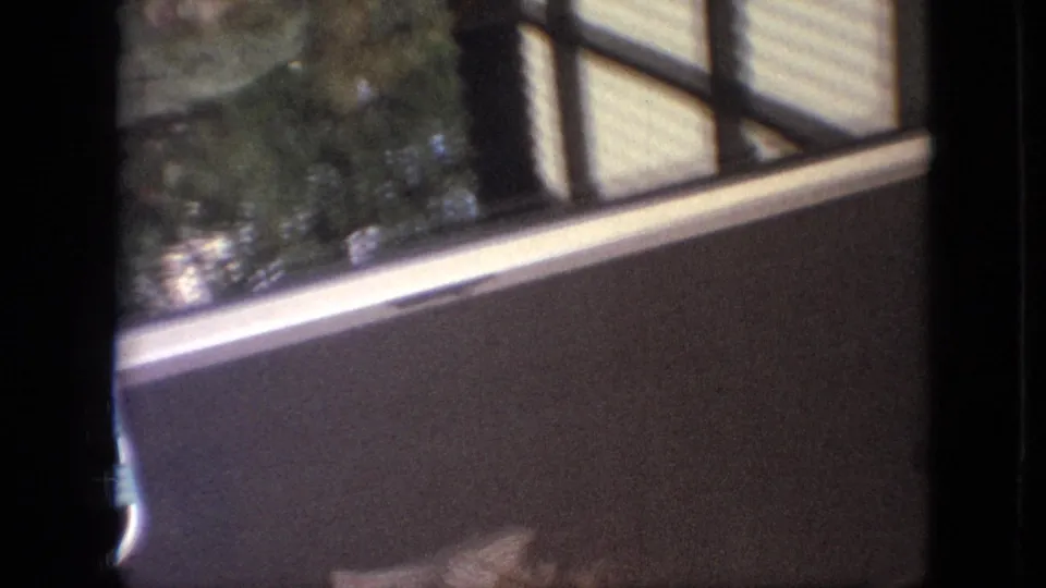 Soft 8mm view from Branson, Missouri in 1968 showing a dark window divider, foliage reflections, and a pale horizontal ledge or wall area.