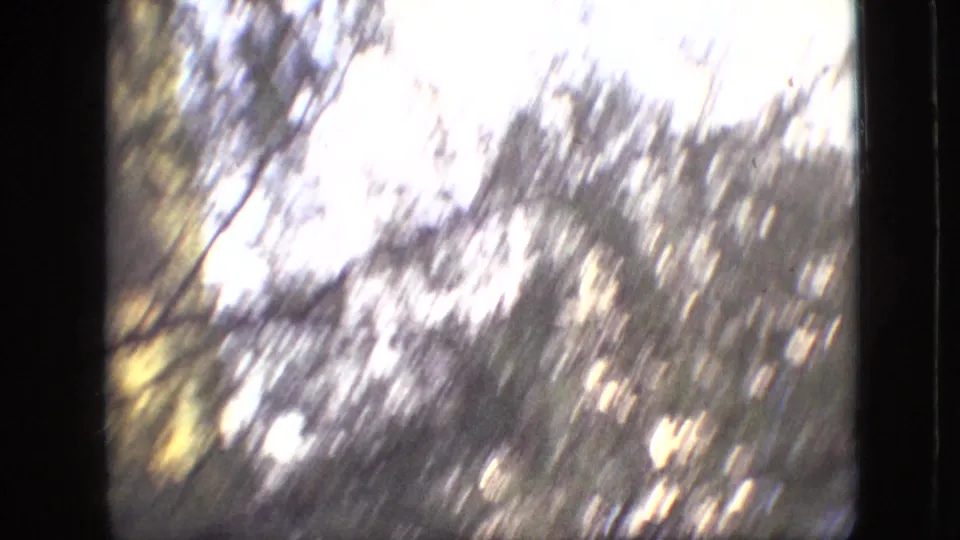 Motion-blurred 8mm frame from the Branson clip showing bright sunlight through trees, with dark vertical frame edges and heavy grain.