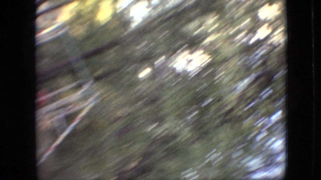 Trees and bright foliage streaked by fast camera motion.
