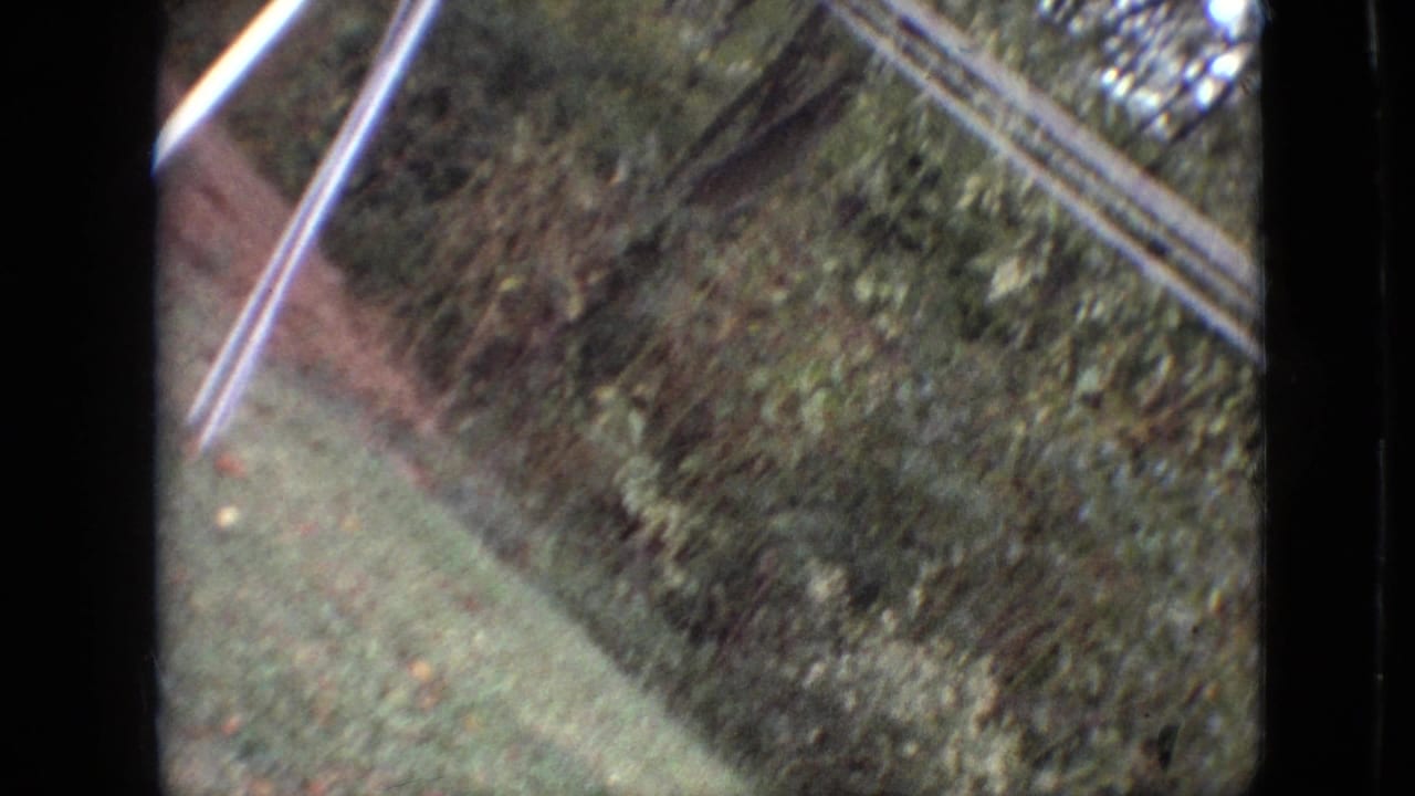 Tilted 1968 Branson, Missouri 8mm backyard frame showing green grass, dense foliage, and pale hose-like lines or poles near the edge of the yard.