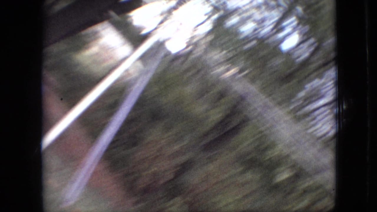 Motion-blurred yard view with bright pale lines, foliage, and dark vertical film borders.