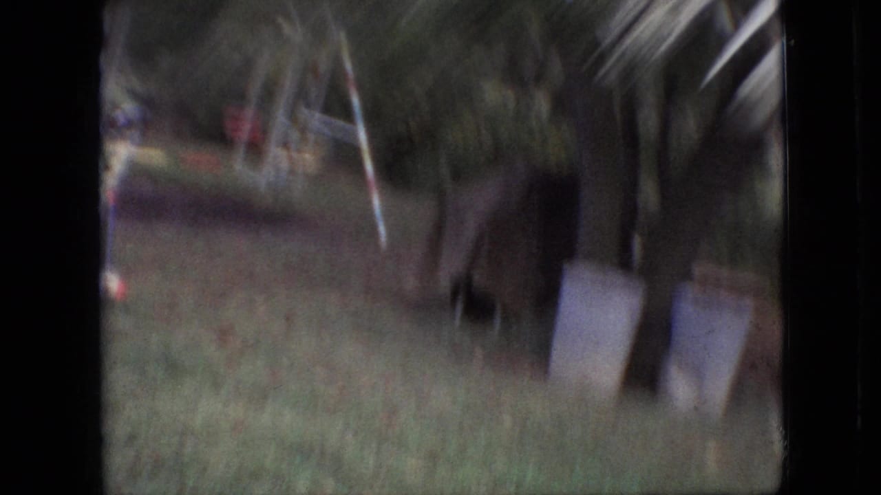 Blurred 1968 Branson, Missouri 8mm frame showing a grassy outdoor area with trees and pale containers or cans in the background.