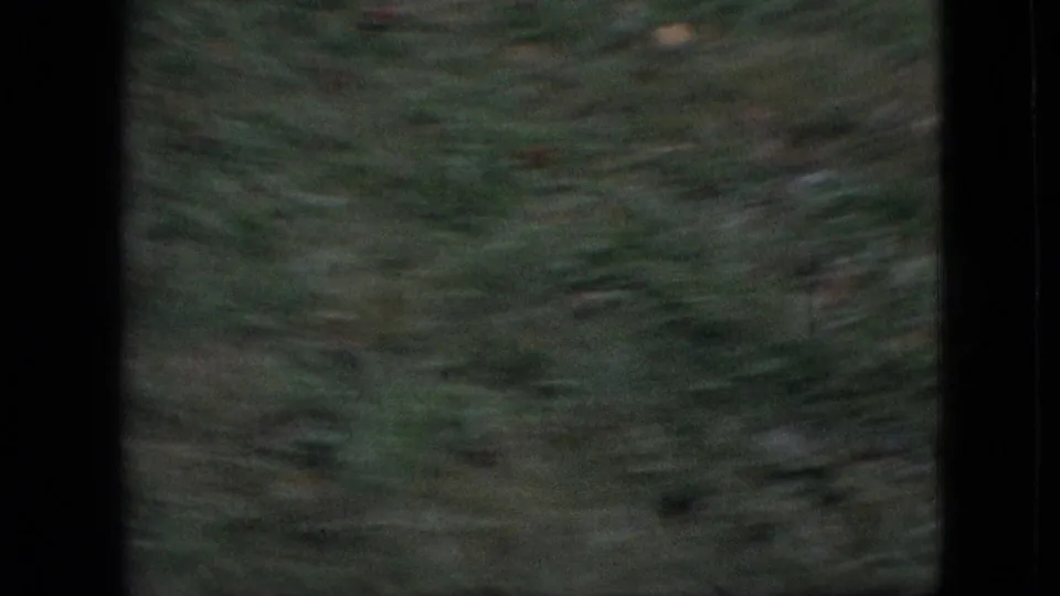 Motion-blurred 8mm frame of grass during a rapid handheld move, consistent with running or falling in the outdoor Branson scene.