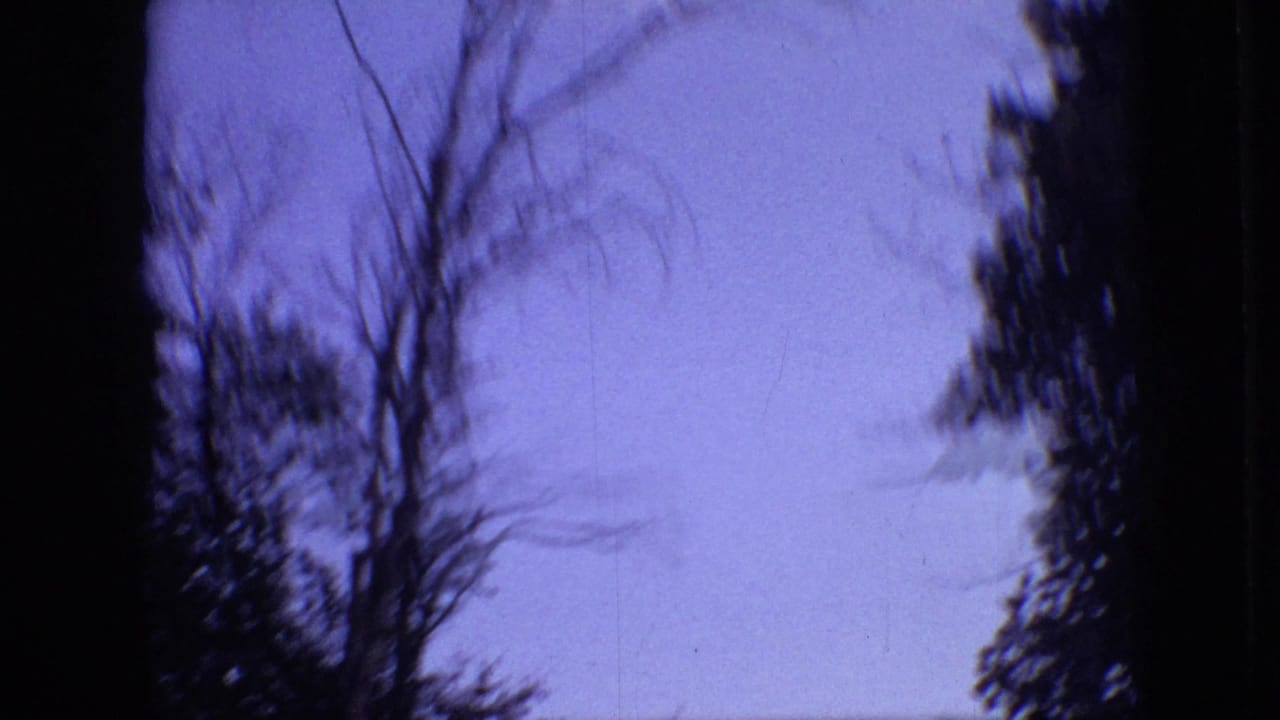 1968 Branson, Missouri 8mm frame looking upward at blue-purple sky, blurred bare branches, and dark evergreen edges during a handheld camera movement.