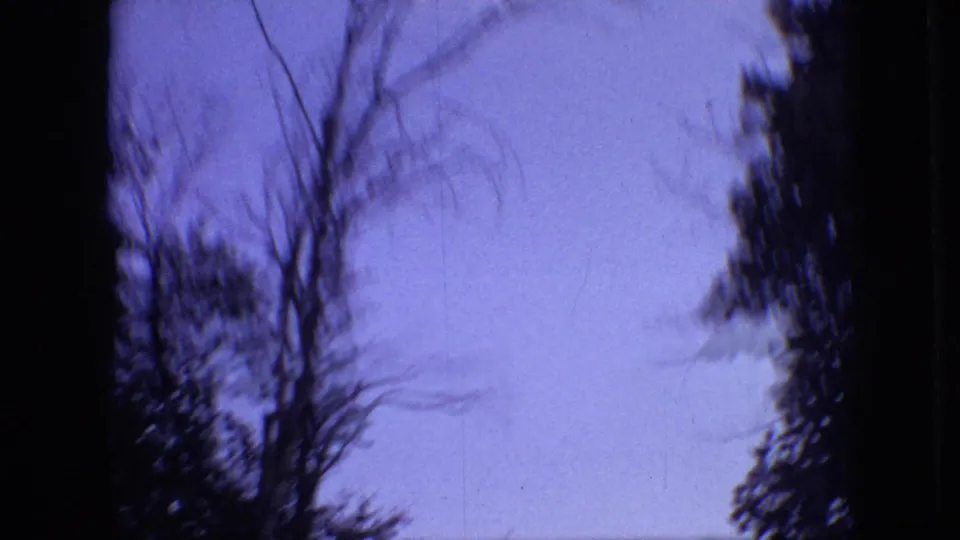 1968 Branson, Missouri 8mm frame looking upward at blue-purple sky, blurred bare branches, and dark evergreen edges during a handheld camera movement.