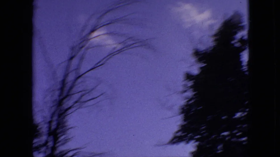 1968 Branson, Missouri 8mm frame with leafless branches bending across a blue-purple sky beside a darker evergreen tree line.