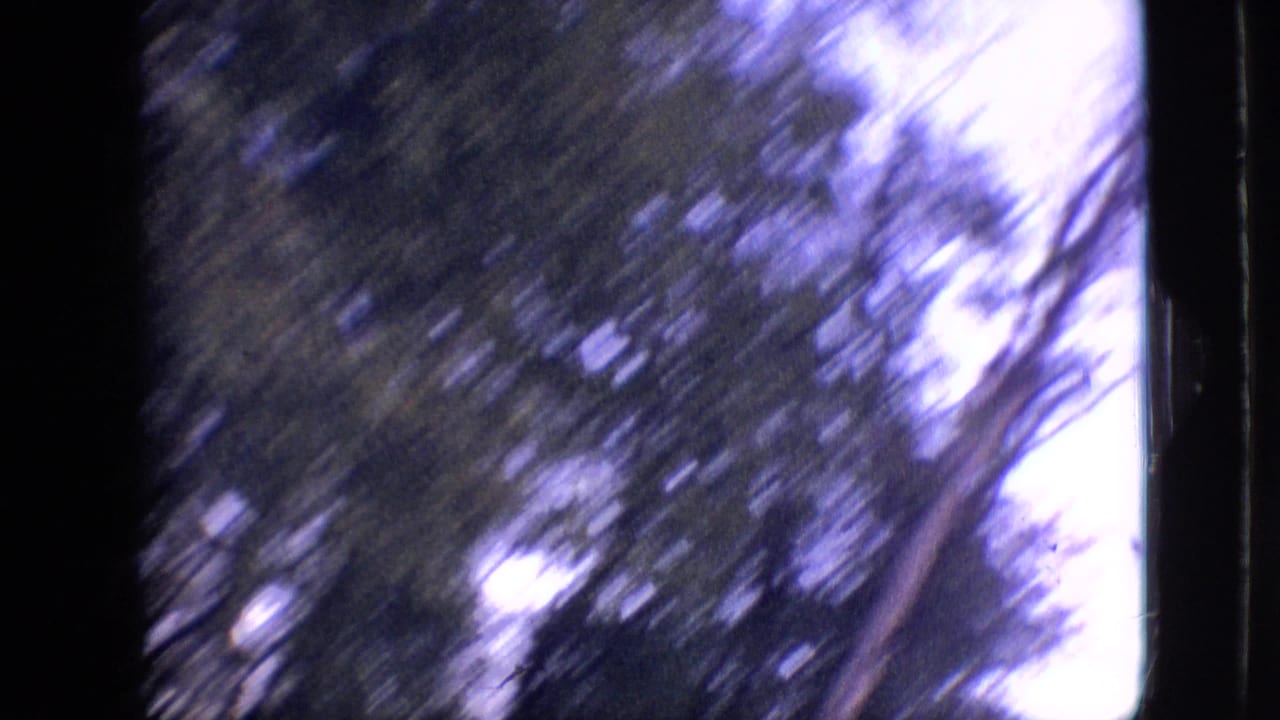 1968 Branson, Missouri 8mm frame showing blurred tree branches and a pale evening or night sky, with heavy black film borders and handheld motion.